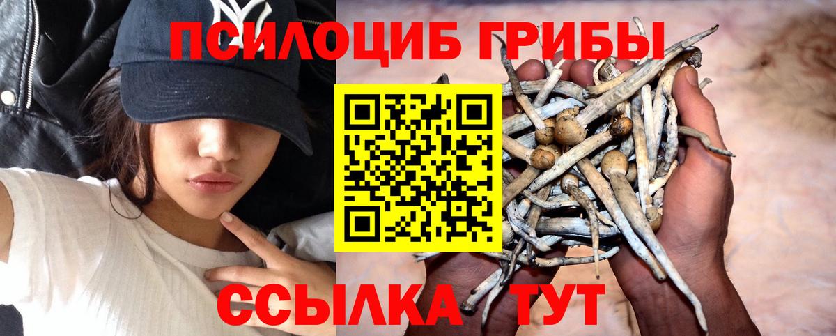 Галлюциногенные грибы ЛСД Ирбит